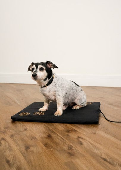 CELLER8® Small Pet Package