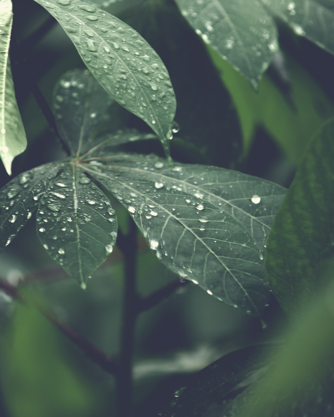 Nature is Always Best – But Modern Life Makes It Hard