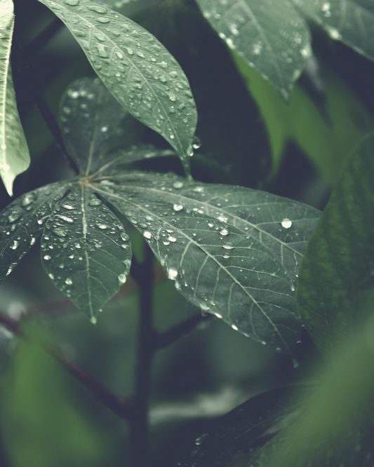 Nature is Always Best – But Modern Life Makes It Hard