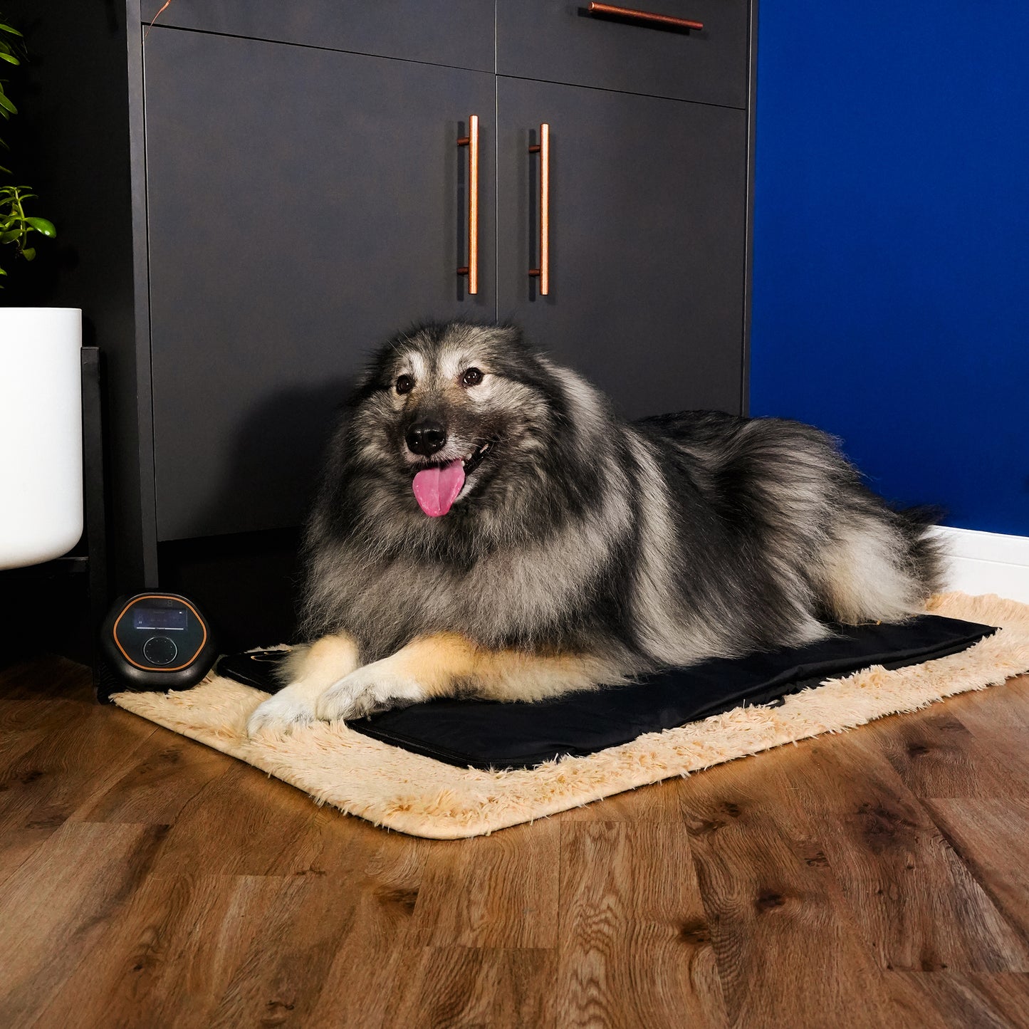 CELLER8®  Large Pet Package