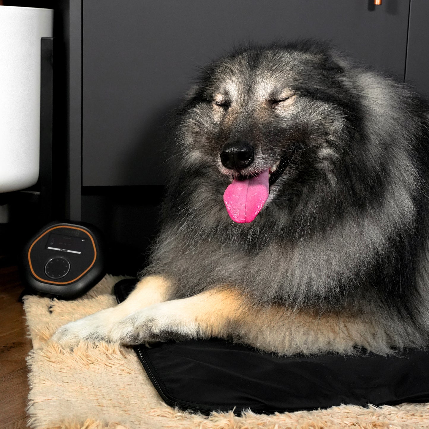 CELLER8®  Large Pet Package