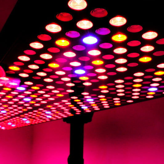 CELLER8®  Full Body Red Light Panel