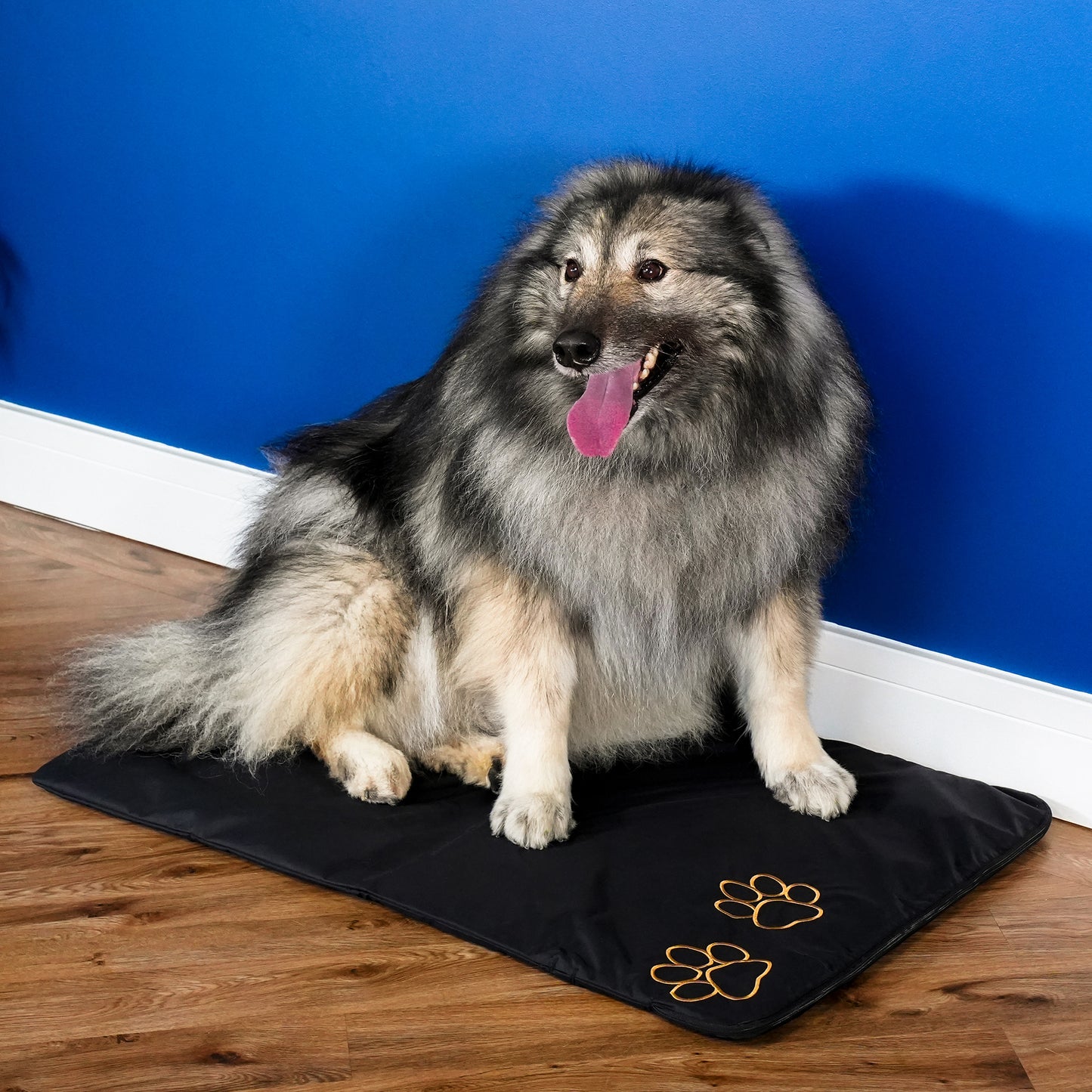 CELLER8®  Large Pet Package