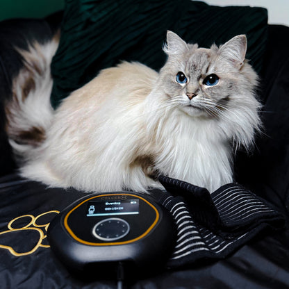 CELLER8® Small Pet Package