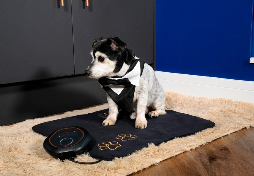 CELLER8® Small Pet Package