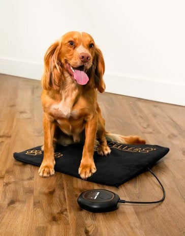 CELLER8®  Large Pet Package